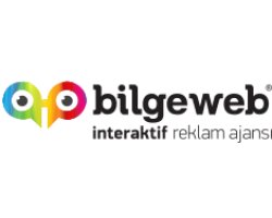 https://www.bilgeweb.com.tr/